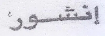 شتنسوو trademark logo