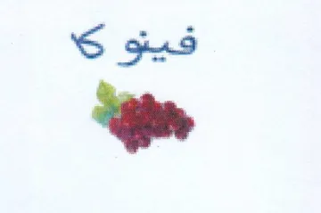 co فينو trademark logo