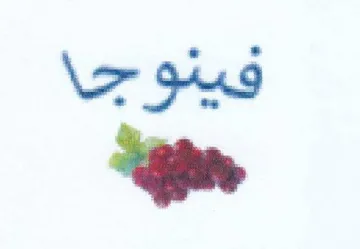 فينوجا trademark logo