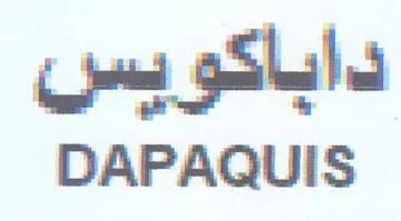 DAPAQUIS داباكويس trademark logo