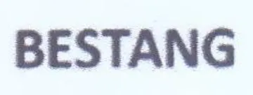 BESTANG trademark logo
