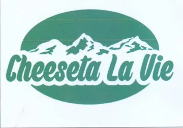 a vie trademark logo