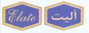ae - بج trademark logo