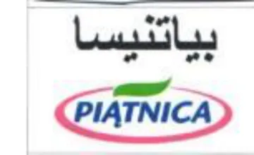PIATNICAD trademark logo