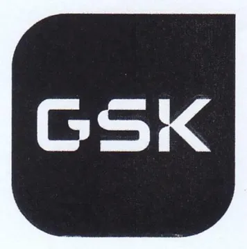 (figurative mark) trademark logo