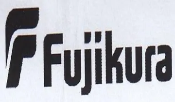 P Fyiikur trademark logo