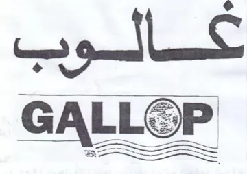 Es trademark logo