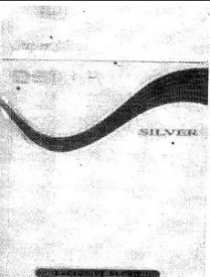 (figurative mark) trademark logo