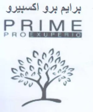 vy 03 a برايم برو اكسبيرو trademark logo