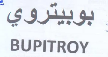 SSE BUPITROY trademark logo