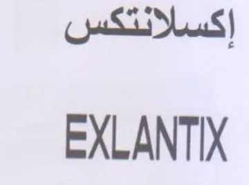 EXLANTIX trademark logo