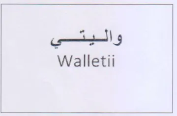 Walletii واليتي trademark logo