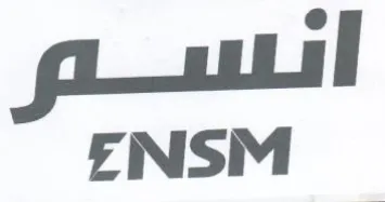 pi I ENSM trademark logo