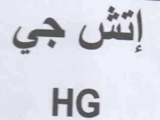 HG إتش جي trademark logo