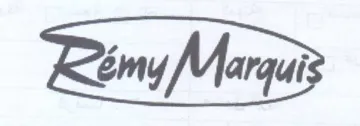 (figurative mark) trademark logo