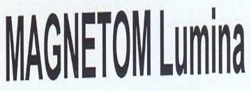 MAGNETOM Lunn trademark logo