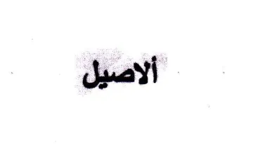 (figurative mark) trademark logo