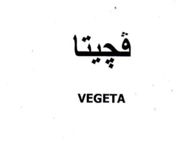 rd C 8 VEGETA trademark logo