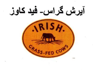 ARIS Y آيرش كراس trademark logo