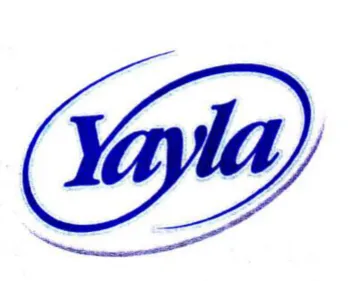 iia trademark logo