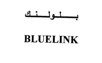 BLUELINK trademark logo