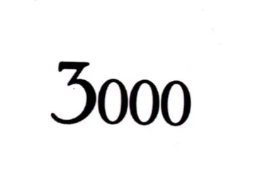 3000 trademark logo