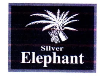 ey a trademark logo