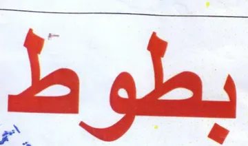 بطوط trademark logo