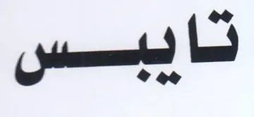 نايبسس trademark logo