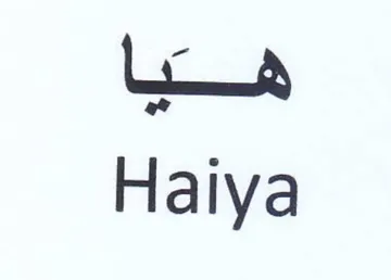 Lous Haiya trademark logo