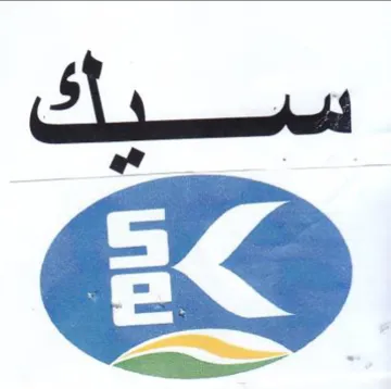 ES سيك trademark logo