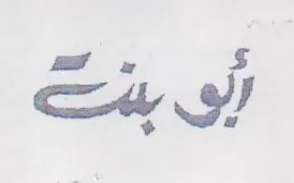mT a S trademark logo
