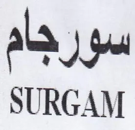 SURGAM سورجام
