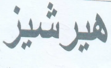 (figurative mark) trademark logo