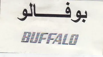 BUPFALG اكيوب trademark logo