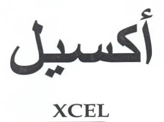 a XCEL trademark logo