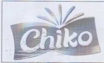 ws trademark logo