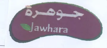 (figurative mark) trademark logo