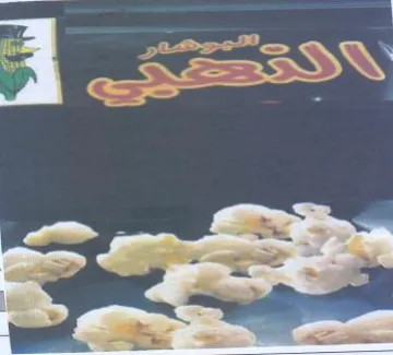 a SSN يجيد trademark logo