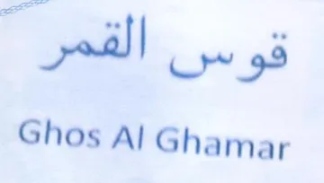 Pall 99 Ghos Al Ghamar trademark logo