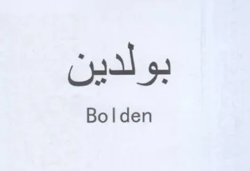 Bolden بولدين trademark logo
