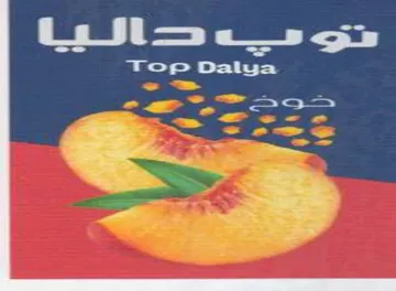 oer Top Dalya Sp asn trademark logo