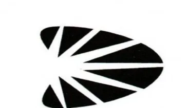 ZN wo trademark logo