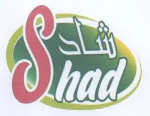 SR trademark logo