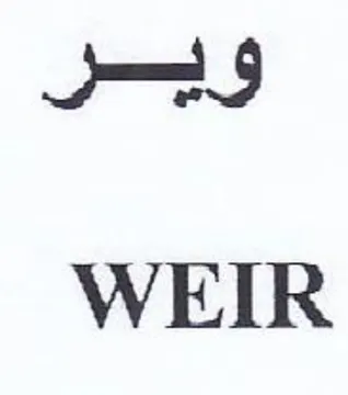 a WEIR trademark logo