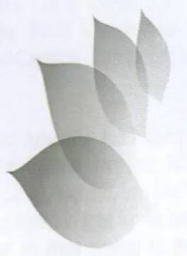 z trademark logo