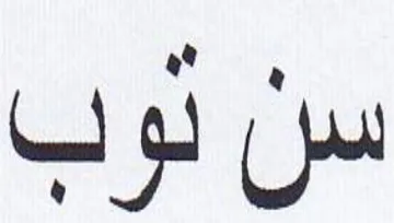 سن لوب trademark logo