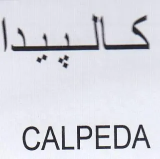 CALPEDA خالسيدا trademark logo