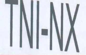 INE trademark logo