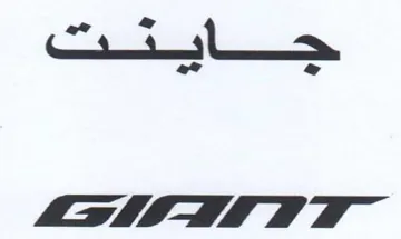 Satta 27 trademark logo